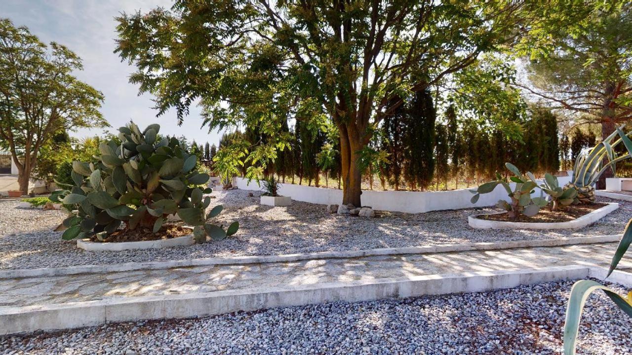 Casa Lucia Bed and Breakfast Caniles Εξωτερικό φωτογραφία